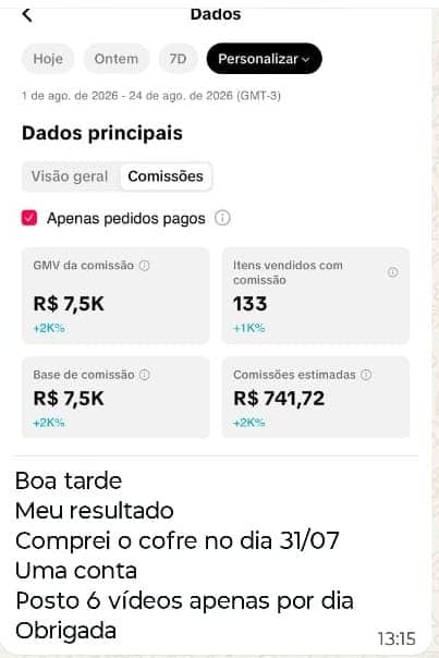 Relato no WhatsApp: comprou o Cofre em 31/07 e publica seis vídeos por dia em uma conta. Painel de 1 a 24/08/2026 com 133 itens vendidos e R$ 741,72 em comissões estimadas.