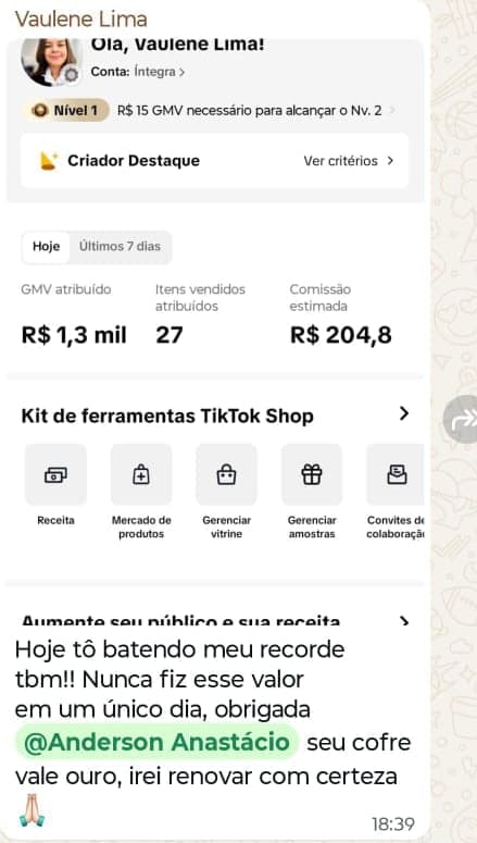 Vaulene mostra 27 itens vendidos e R$ 204,80 em comissão estimada no dia. Agradece pelo Cofre e diz que pretende renovar.